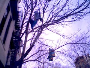 bedclothes defenestrated citynoise.org.jpg